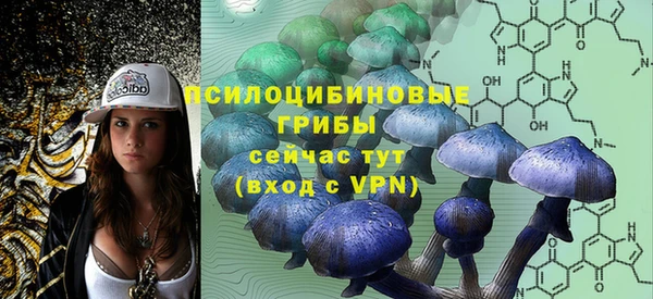 герыч Бородино