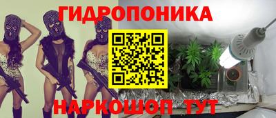 дмт Моздок