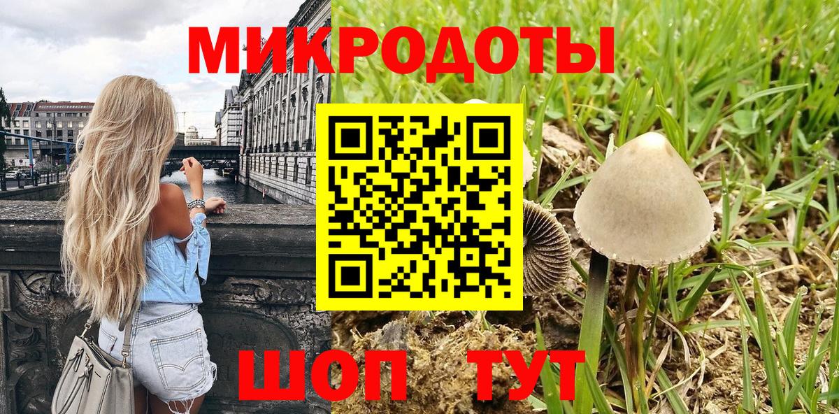 Псилоцибиновые грибы Psilocybine cubensis Выборг