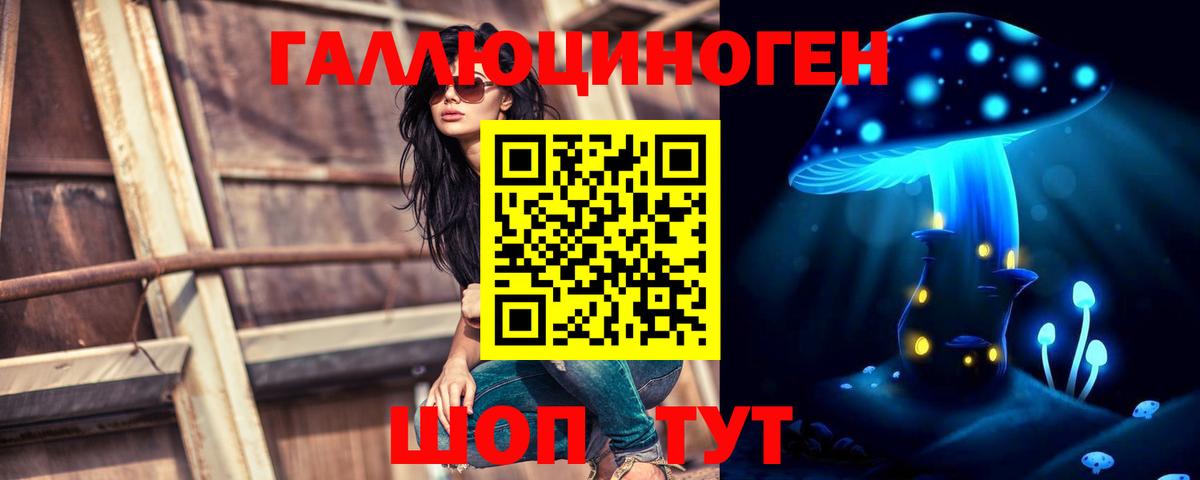 Псилоцибиновые грибы мицелий  Вход с VPN  Выборг  Галлюциногенные грибы ЛСД 