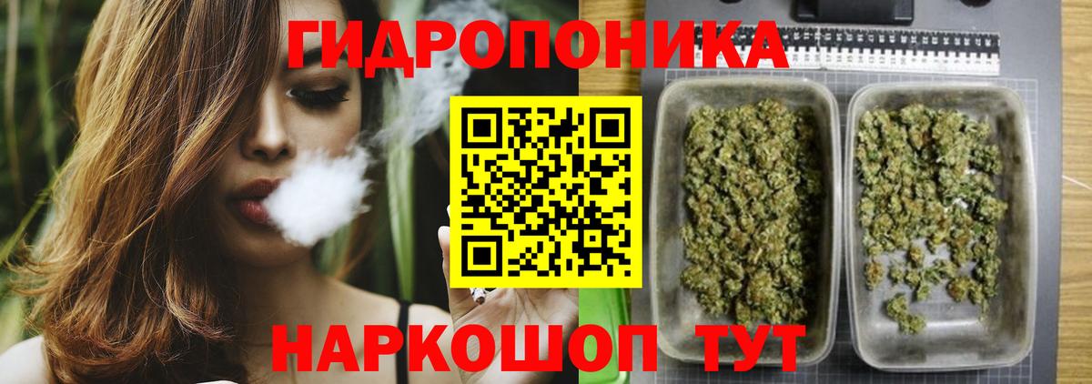 Бошки Шишки ГИДРОПОН Выборг